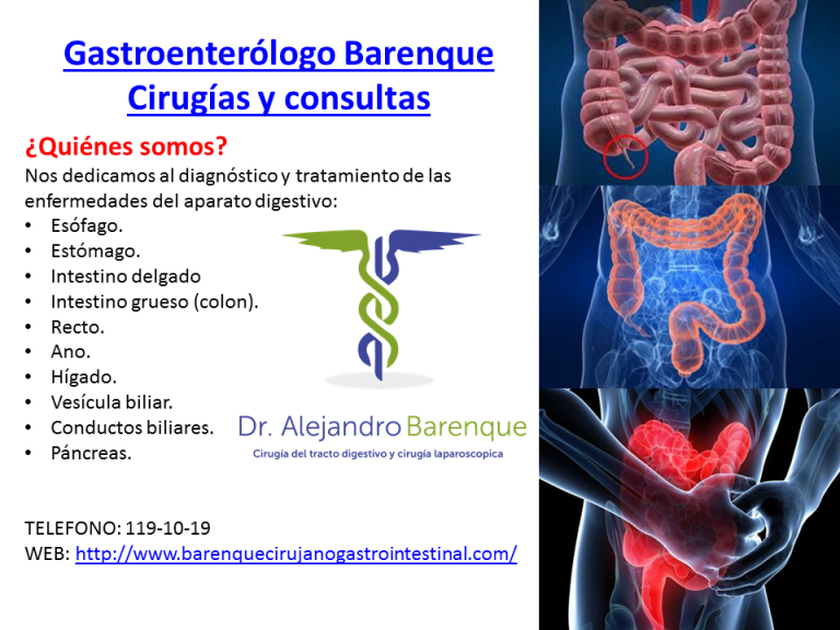 DISEÑO publicida 2019