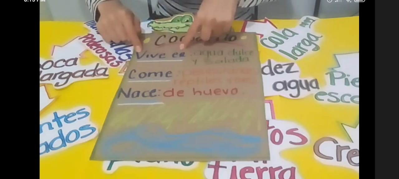 mente activa #ConectandoMorelos cuernavaca