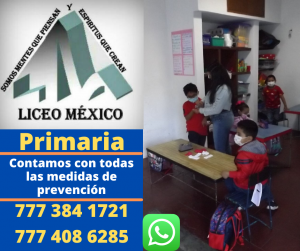 lice mexico cuernavacaPrimaria