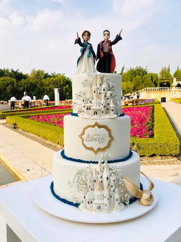 Pasteleria Dulce Hechizo castillo