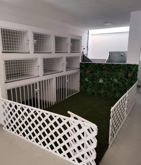 cuidamos tus mascotas en cuernavaca morelos